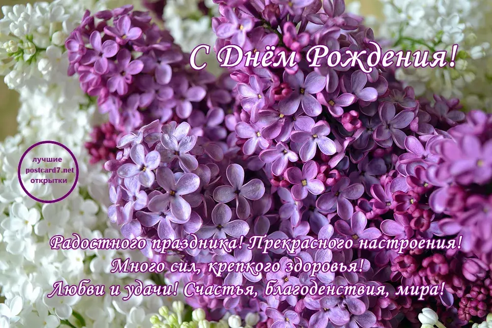 Открытка С сиренью - Открытка с цветами: Сирень, День рождения, Поздравления | Красивая открытка #55