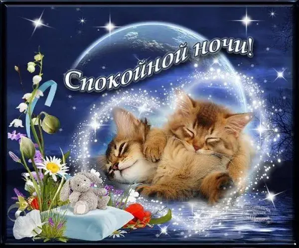 Открытка Спокойной ночи - Спящие котята: Открытка с котиками и цветами | Красивая открытка #124