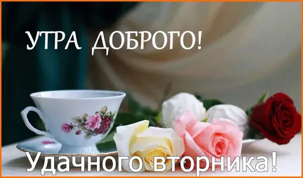 Открытка Открытки на вторник - Розы и чайная чашка | Красивая открытка #217