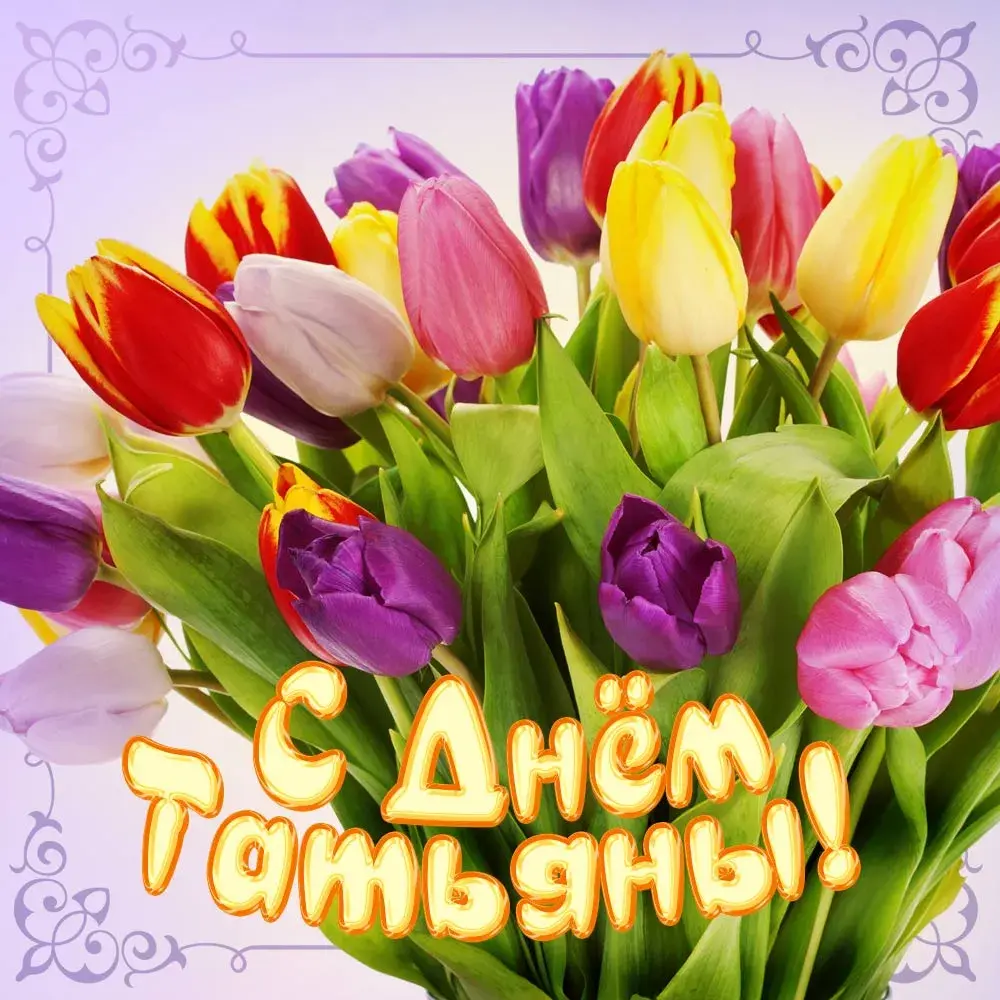 Открытка Татьянин день - Букет тюльпанов: открытка с Днём танца | Красивая открытка #58