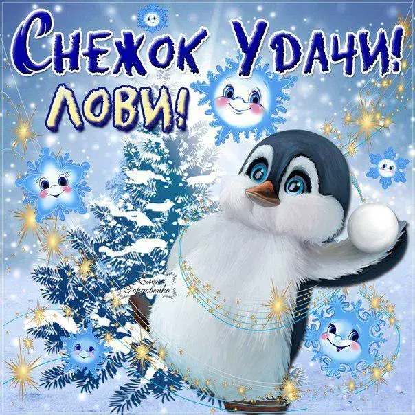 Открытка времена года - Открытка с пингвином на фоне ели | Красивая открытка #5