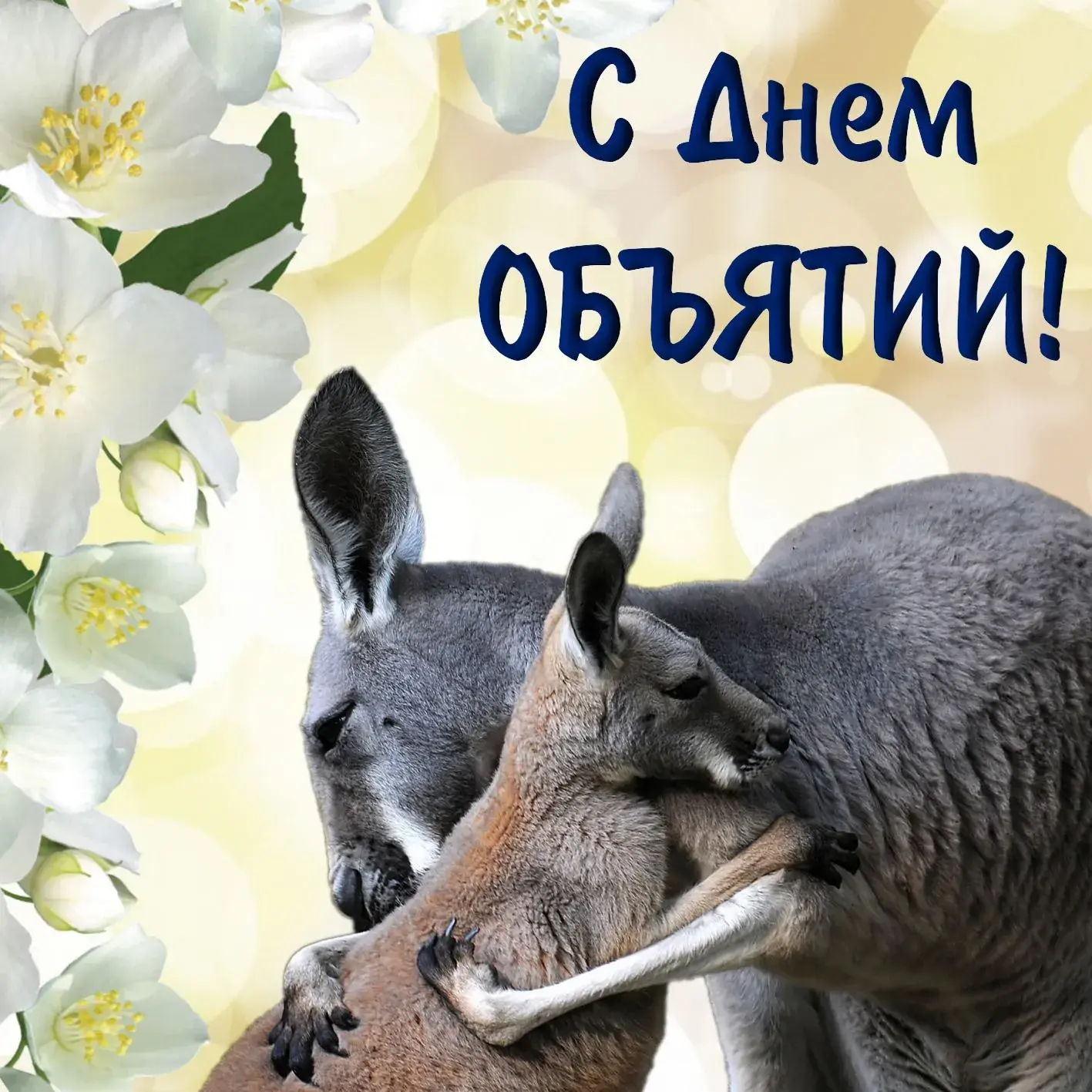 Открытка С днём объятий - Кенгуру и цветы: нежная открытка с любовью | Красивая открытка #36
