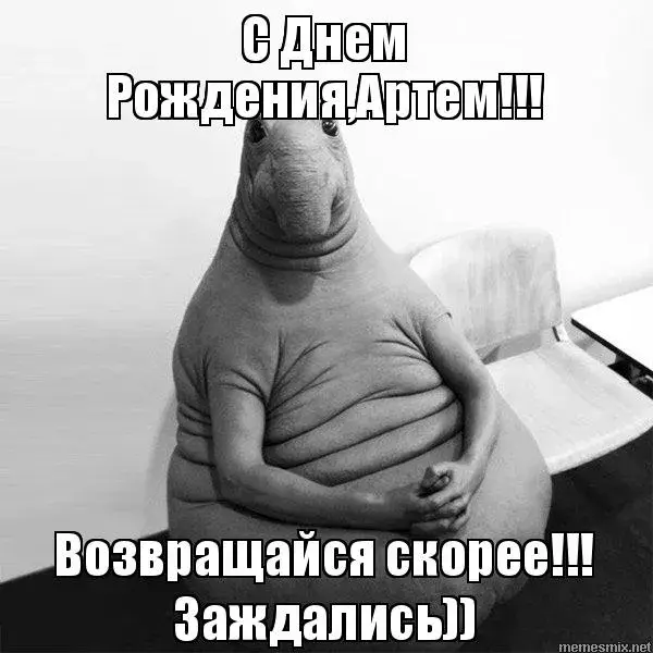 Открытка открытки с именем Артем - Морж с днем рождения: смешная открытка | Красивая открытка #181