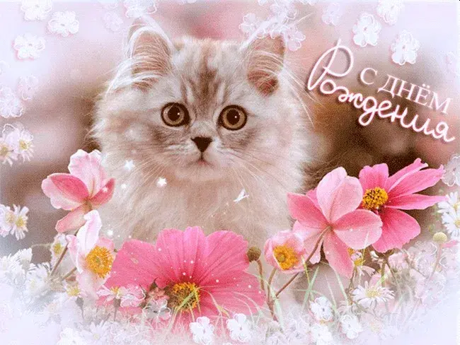 Открытка С кошками - Открытка: Котенок и цветы - С днем рождения | Красивая открытка #15