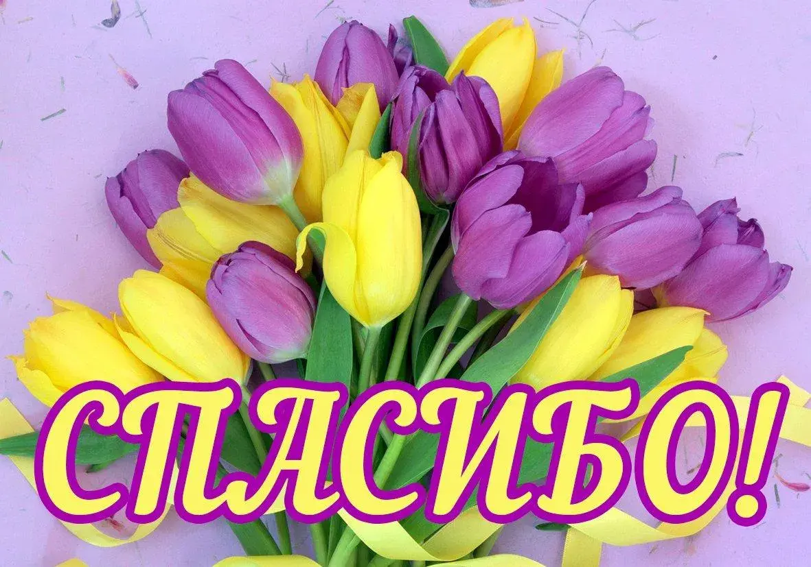 Открытка Спасибо - Букет тюльпанов: фиолетовые и желтые | Красивая открытка #173