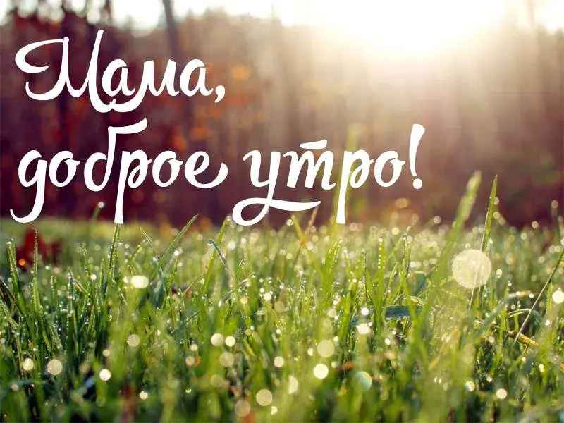 Открытка Открытки доброе утро мама - открытки маме | Красивая открытка #23