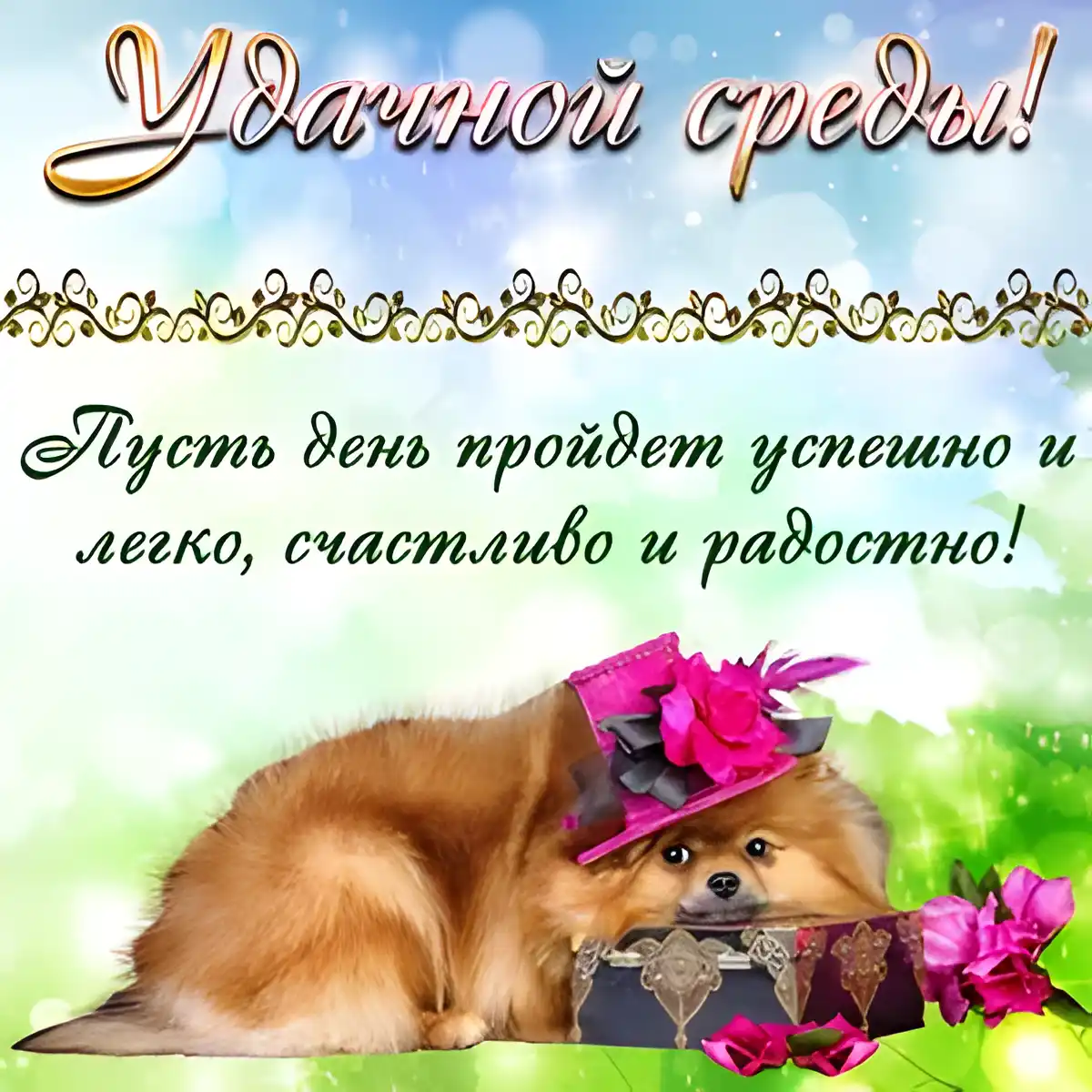 Открытка Открытки на среду - Открытка с щенком в шляпе и с подарком | Красивая открытка #193