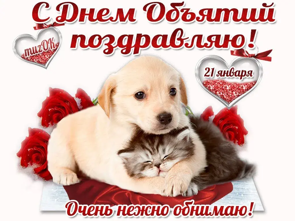 Открытка С днём объятий - Открытка: Щенок и котенок, День рождения | Красивая открытка #4