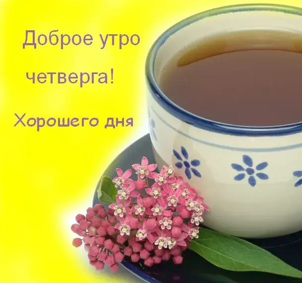 Открытка Доброе утро четверг - Чай и цветы: нежная открытка с добрым утром | Красивая открытка #37
