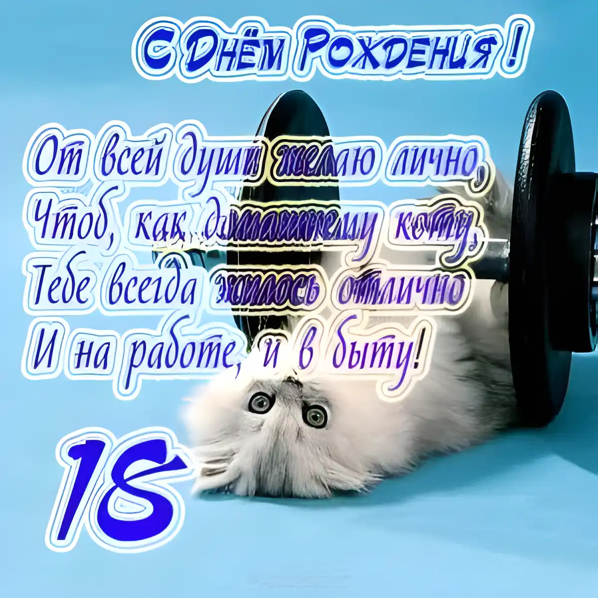 Открытка Открытки на 18 лет - Открытка с котенком на 18 лет | Красивая открытка #113