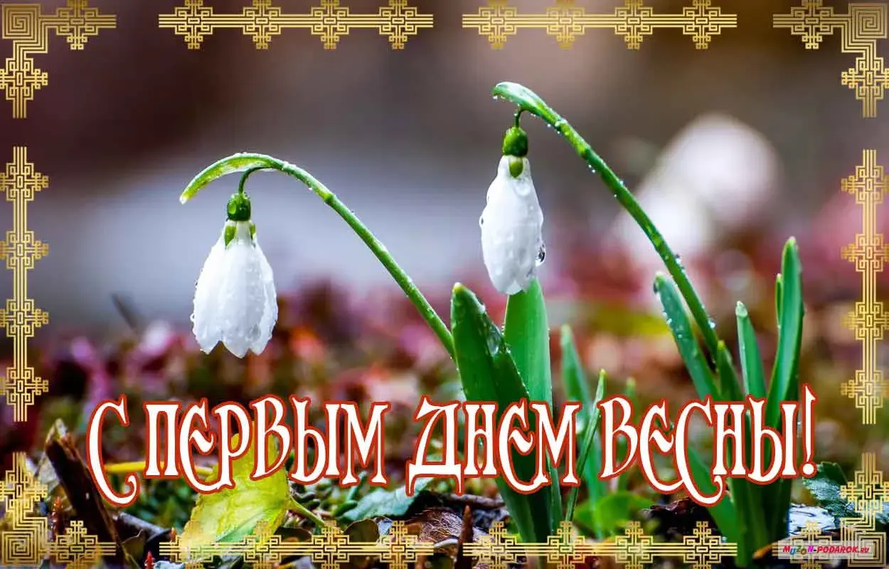 Открытка С первым днём весны - С первым днем весны! | Красивая открытка #46