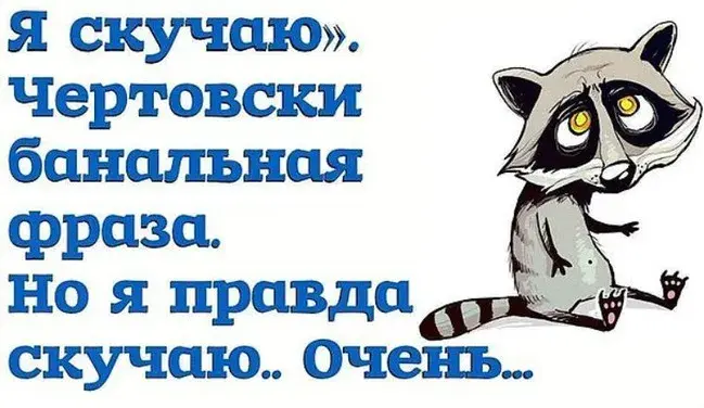 Открытка Скучаю - Енот на открытке: смешное поздравление | Красивая открытка #260