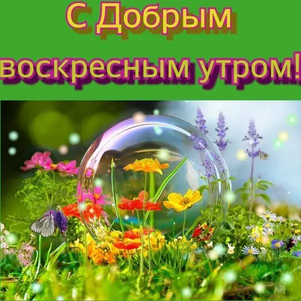 Открытка Открытки на воскресенье - Цветы в шаре: яркая открытка с цветами и бабочкой | Красивая открытка #127