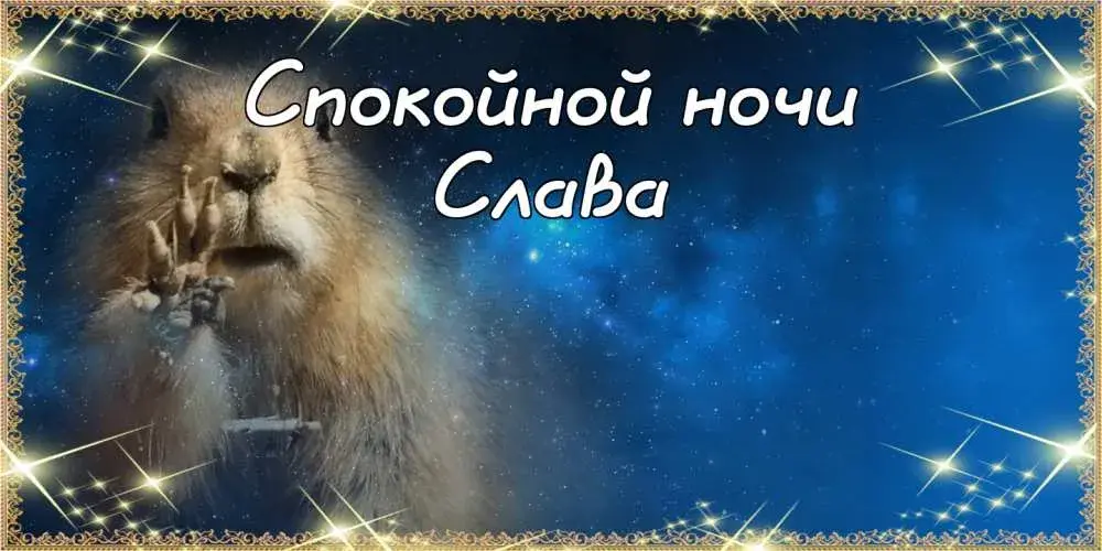 Открытка открытки с именем Вячеслав - Открытка с альпакой на фоне ночного неба | Красивая открытка #235