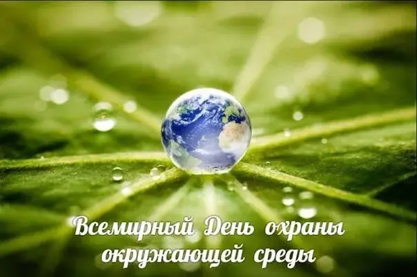 Открытка День эколога - День Земли: Капля росы на листе | Красивая открытка #36