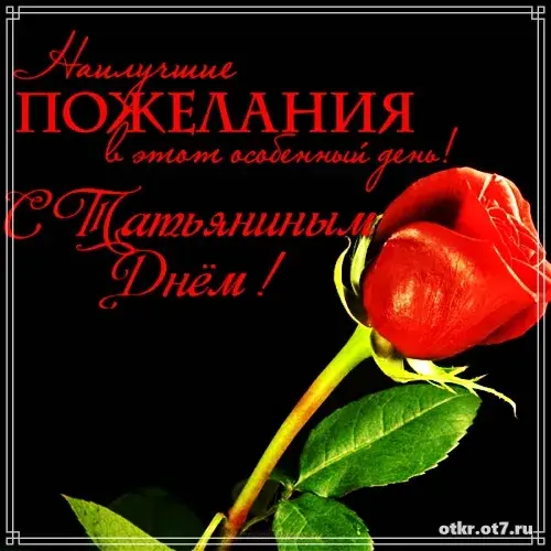 Открытка открытки на Татьянин день  - Красная роза на открытке: С Днем! | Красивая открытка #89