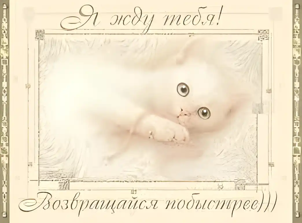 Открытка Открытки жду тебя - Открытка с милым котенком: поздравления и пожелания | Красивая открытка #72
