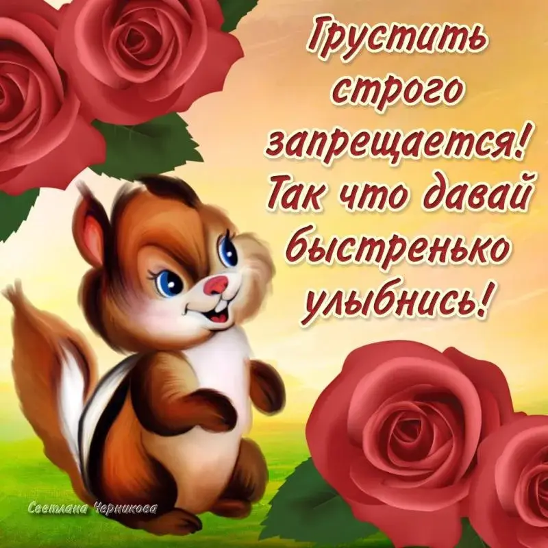 Открытка Не грусти - Открытка с белкой и розами | Красивая открытка #15