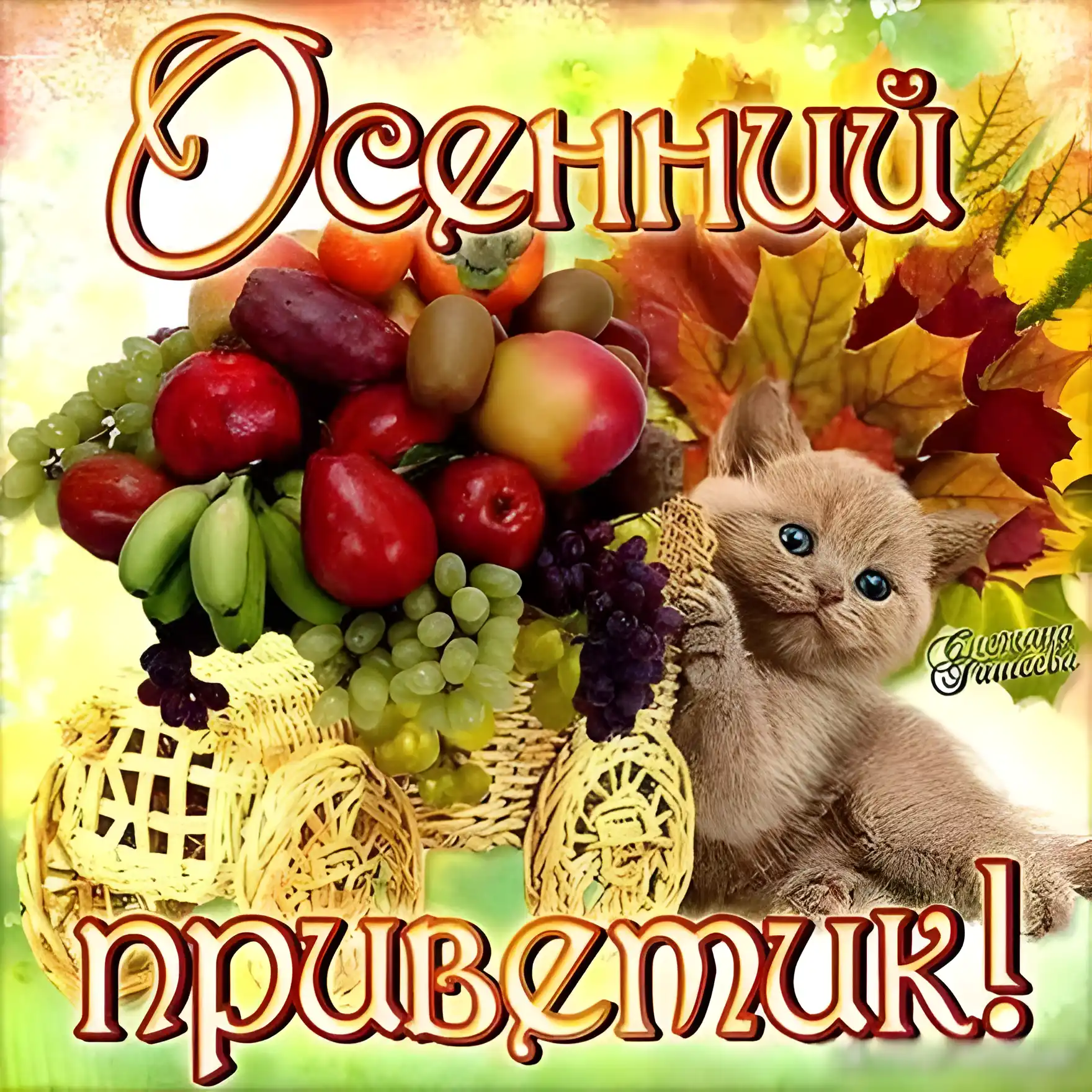 Открытка Осенний приветик - Открытка с котенком и фруктами | Красивая открытка #70