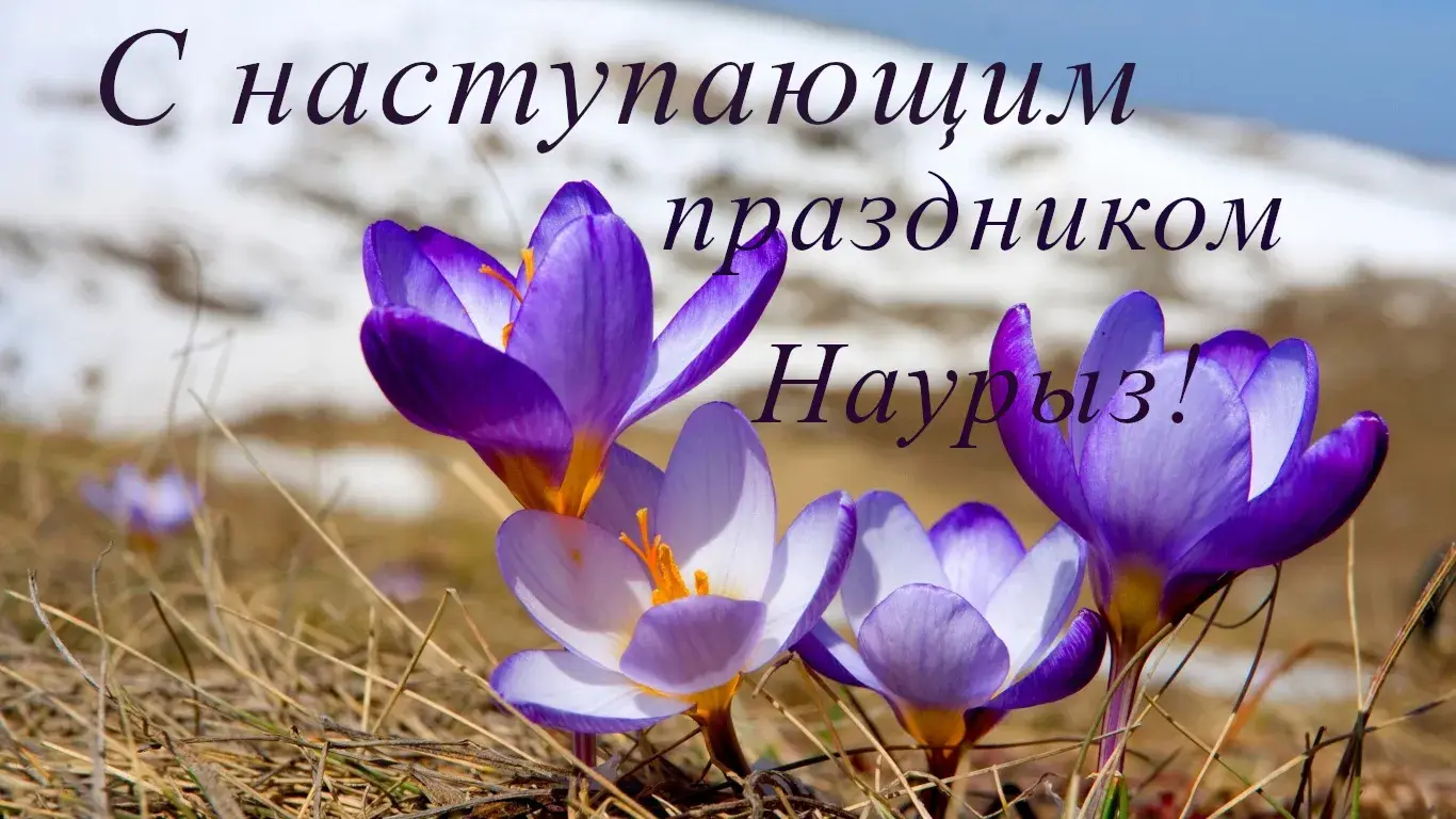 Открытка 22 марта  Наурыз - Фиалки на снегу: весенняя открытка | Красивая открытка #38