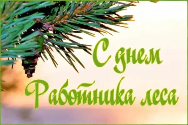 Открытка С днём работника леса - Открытка с сосновыми ветками и надписью "С днем работника леса" | Красивая открытка #24