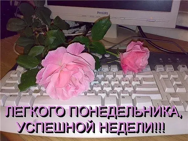 Открытка Удачного понедельника - Розовые розы на клавиатуре: открытка с цветами | Красивая открытка #72