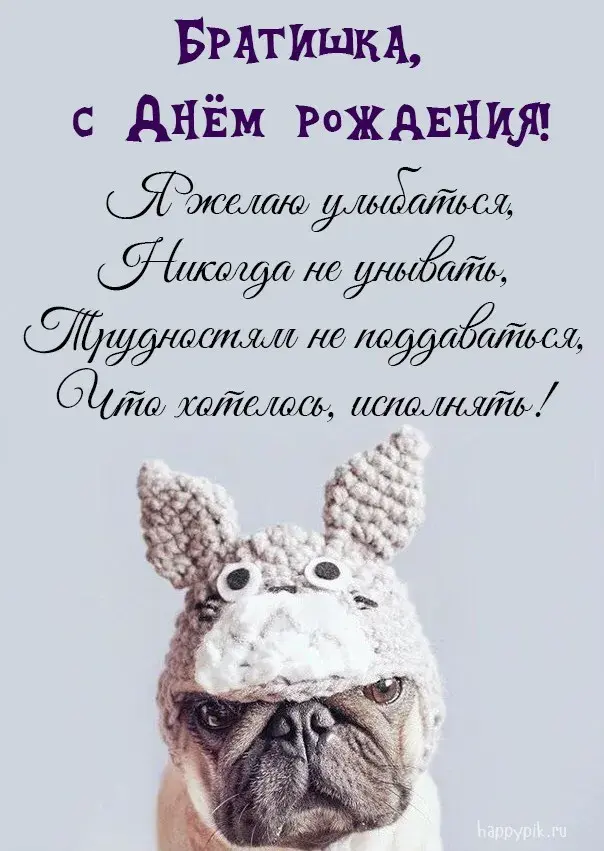 Открытка с днём рождения брат - Открытка с французским бульдогом - Happyik.ru | Красивая открытка #14