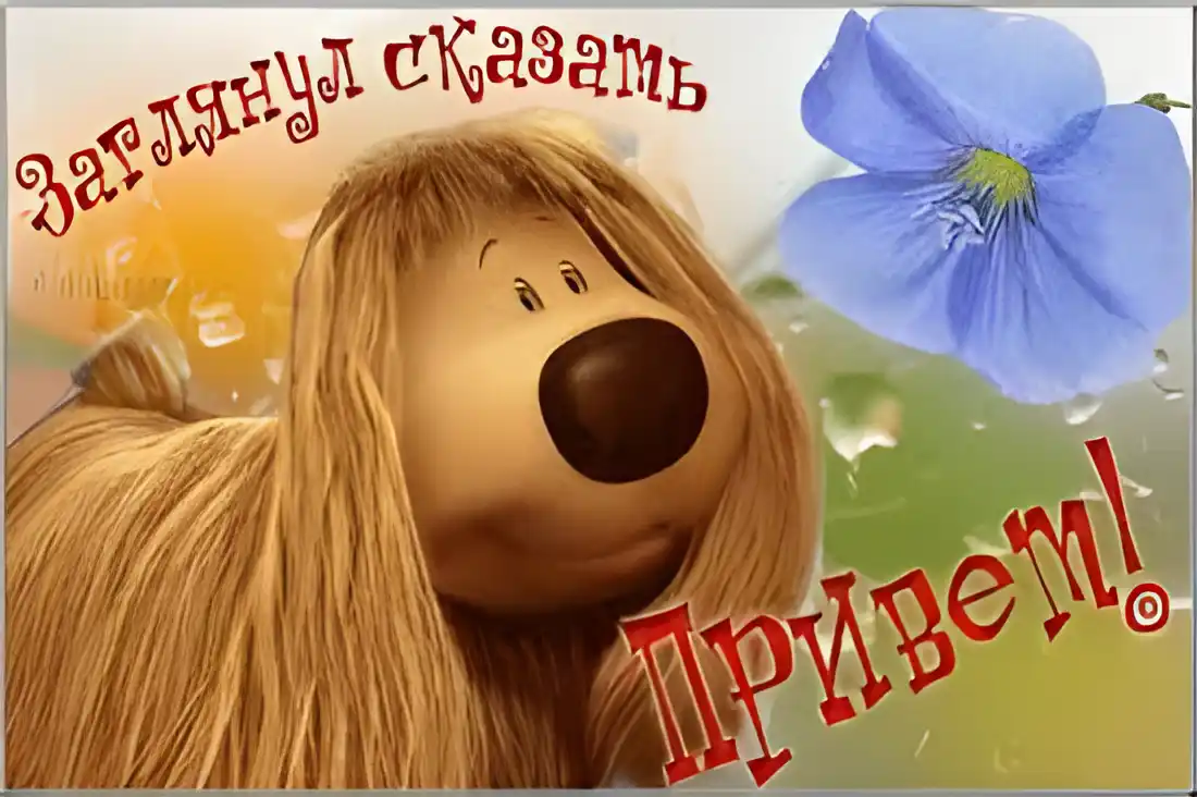 Открытка Открытки с приветствиями  - Открытка с щенком и цветами | Красивая открытка #170