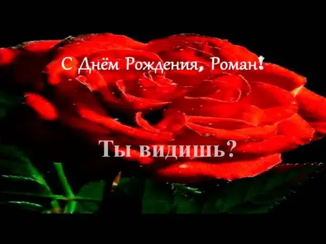 Открытка Открытки с именем Роман - Красная роза: Открытка с днем рождения | Красивая открытка #235