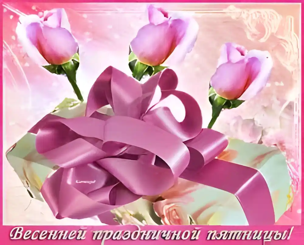 Открытка Открытки с цветами - Открытка с розовыми розами и лентой | Красивая открытка #151
