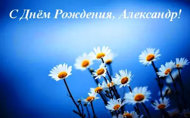Открытка открытки с именем Александр - Полевые цветы на синем фоне | Красивая открытка #247