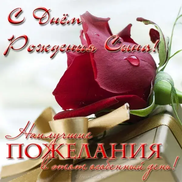 Открытка С днем рождения для сына - Красная роза на открытке: поздравительная открытка | Красивая открытка #2