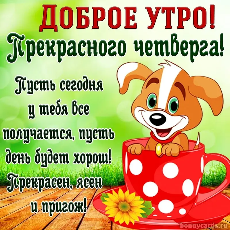 Открытка Доброе утро четверг - Собака с чаем и цветами: открытка с добрым утром | Красивая открытка #35