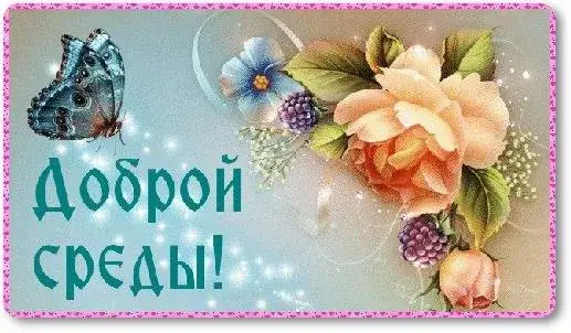 Открытка Среда - Открытка с розой, фиалками и бабочкой | Красивая открытка #77