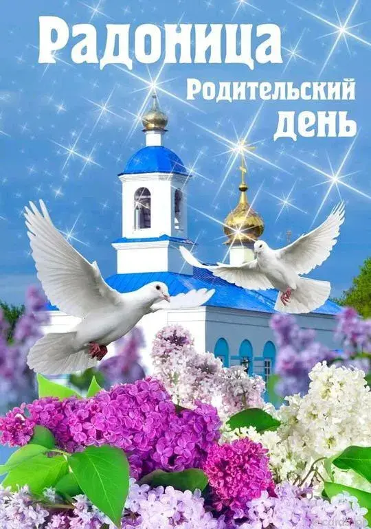 Открытка Радоница - Цветы сирени и голубь: поздравления с праздником | Красивая открытка #24