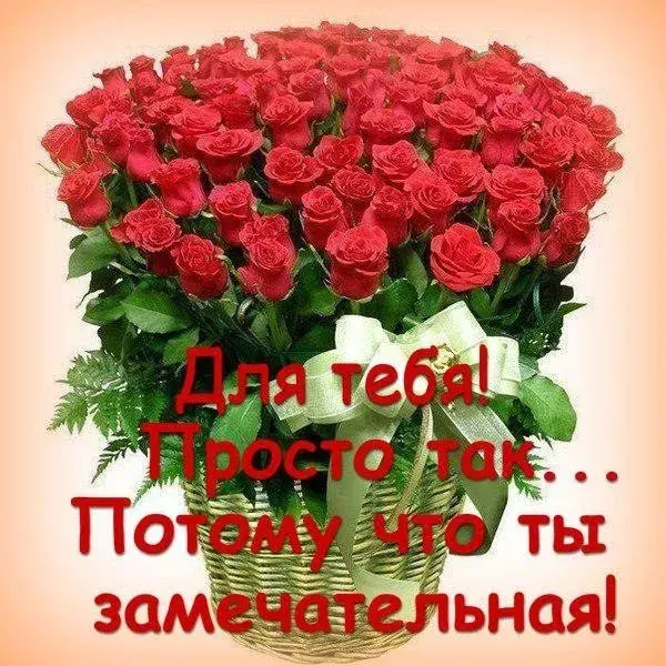 Открытка Просто так - Букет роз: нежные чувства и красота | Красивая открытка #18