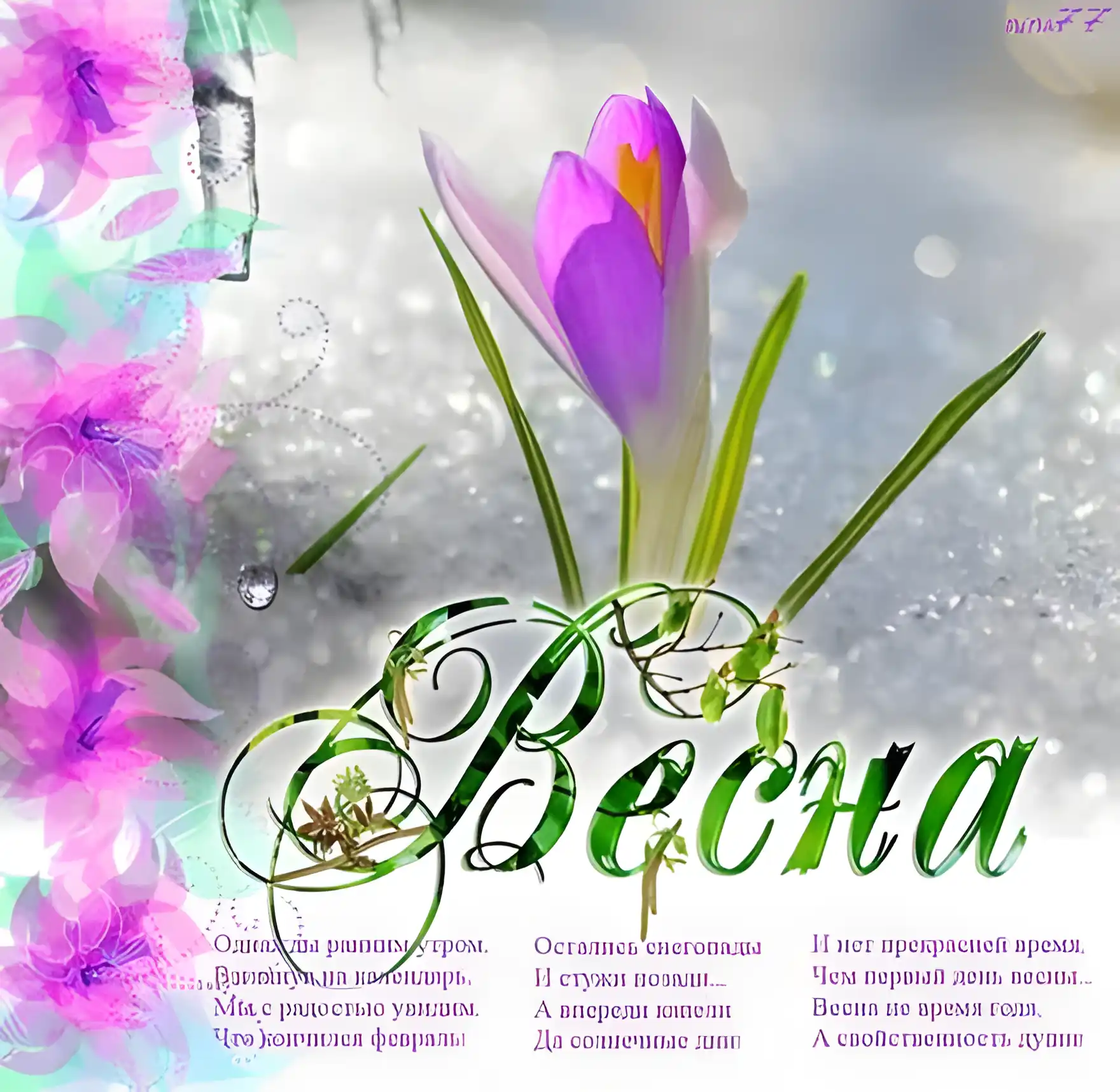 Открытка С крокусами - Весенняя открытка: первые цветы, весеннее настроение | Красивая открытка #25
