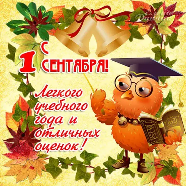Открытка С днем знаний - Открытка с 1 сентября: Сова, книги, листва | Красивая открытка #139