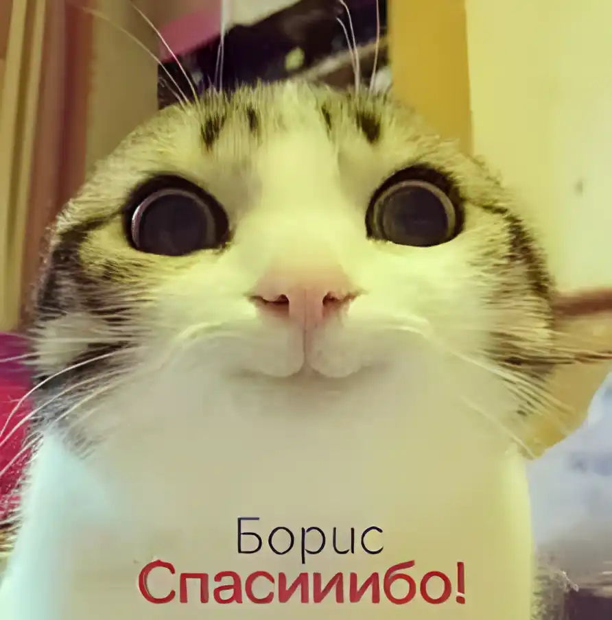 Открытка открытки с именем Борис - Открытка с котом Борисом: С днем! | Красивая открытка #155