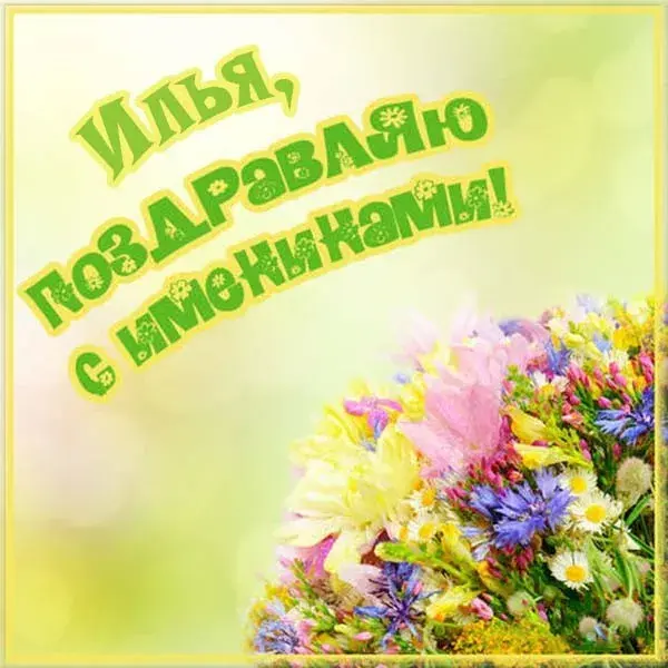 Открытка Открытки с именем Илья - Открытка с цветами: полевые цветы, ромашки, васильки | Красивая открытка #126