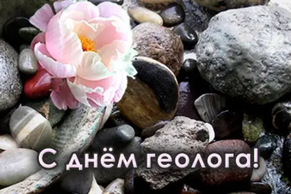 Открытка День геолога - Розовый цветок на камнях: открытка с нежностью | Красивая открытка #64