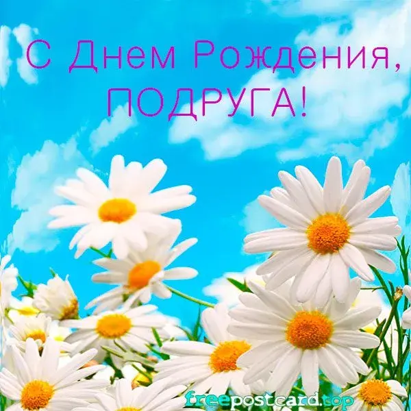 Открытка С ромашками - Открытка с ромашками на голубом фоне | Красивая открытка #25