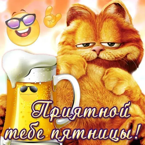 Открытка Удачной пятницы - Открытка с котом и пивом: Привет, котя! | Красивая открытка #8