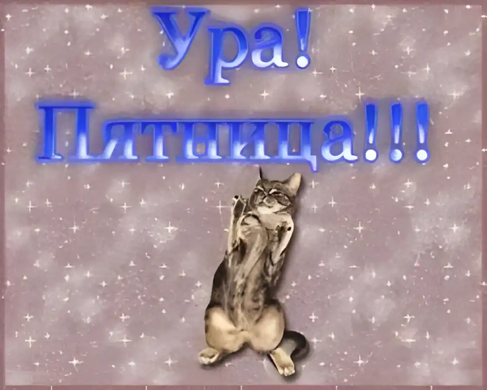 Открытка Открытки на пятницу - Котенок на открытке: милая праздничная картинка | Красивая открытка #194