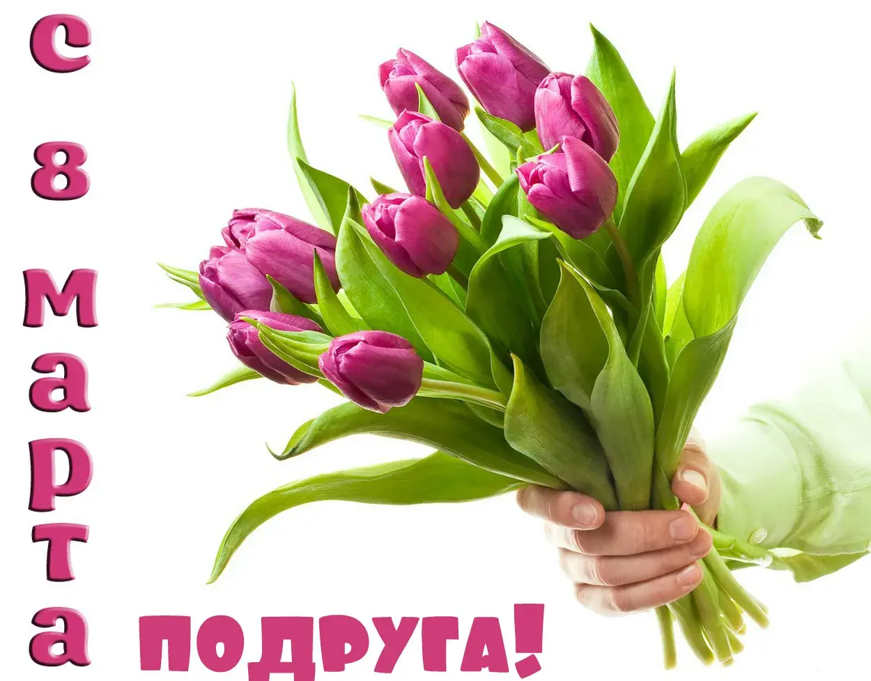 Открытка С 8 марта подруге - Букет сиренечных тюльпанов в руках | Красивая открытка #8