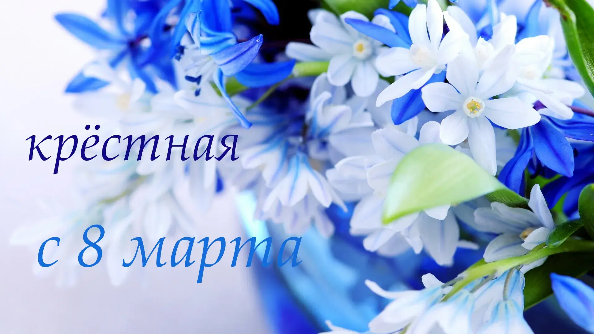Открытка 8 марта - Поляна голубых цветов. Открытка с 8 марта | Красивая открытка #320