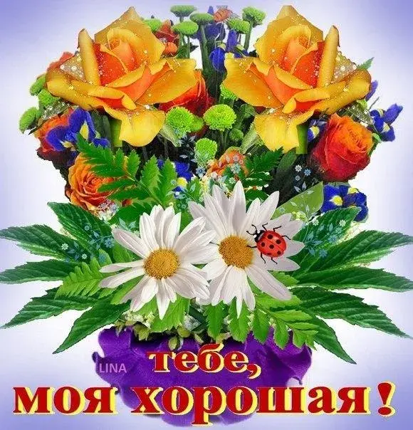 Открытка Для тебя - Букет цветов: ромашки, розы, фиалки, плющ, божья коровка | Красивая открытка #21