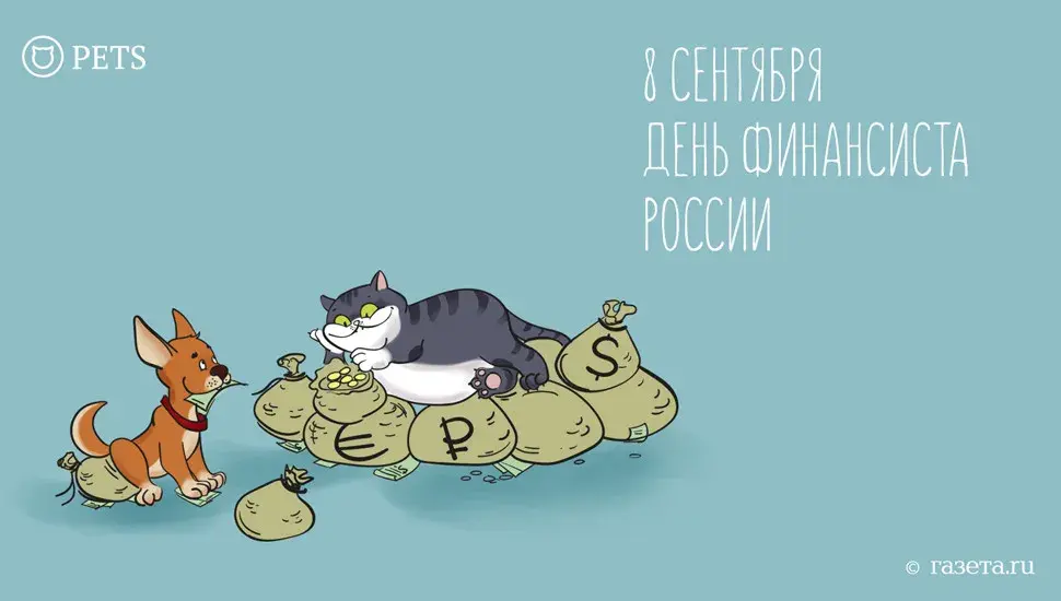Открытка С днем финансиста - Открытка с котом и собакой на деньгах | Красивая открытка #15