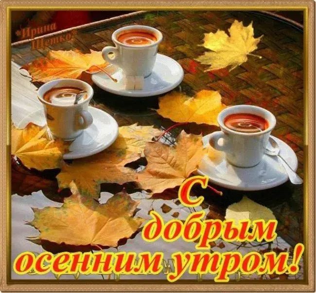 Открытка Открытки с добрым осенним утром - Добрым осенним утром! | Красивая открытка #38