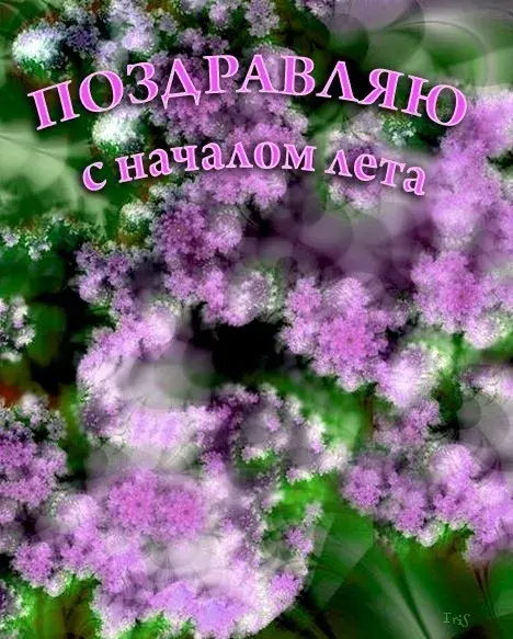 Открытка Первый день лета - Открытка с фиалками: нежные цветы для тебя | Красивая открытка #142